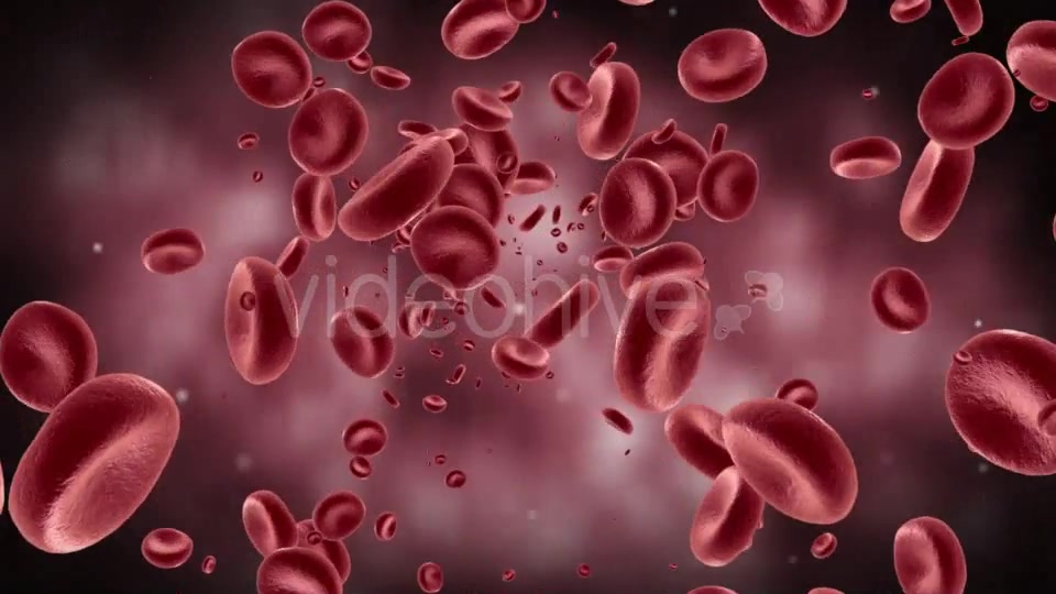 Red Blood Cells In Artery Videohive 11349135 Motion Graphics Image 10