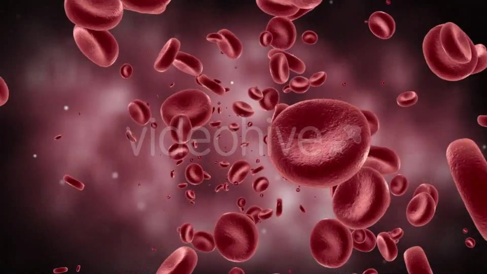 Red Blood Cells In Artery Videohive 11349135 Motion Graphics Image 3