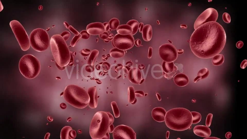 Red Blood Cells In Artery Videohive 11349135 Motion Graphics Image 4