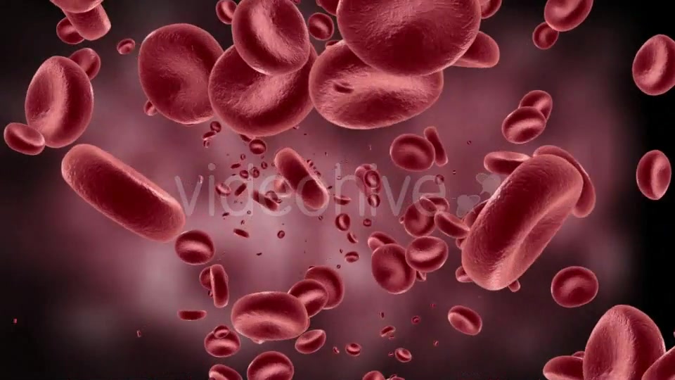 Red Blood Cells In Artery Videohive 11349135 Motion Graphics Image 5