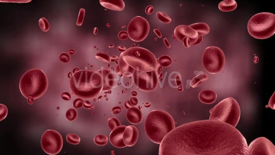 Red Blood Cells In Artery Videohive 11349135 Motion Graphics Image 7