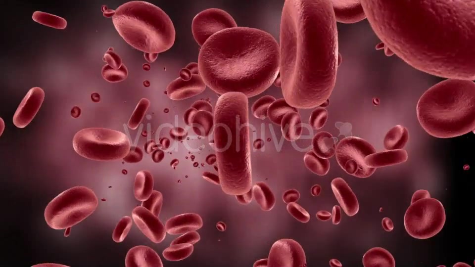 Red Blood Cells In Artery Videohive 11349135 Motion Graphics Image 8