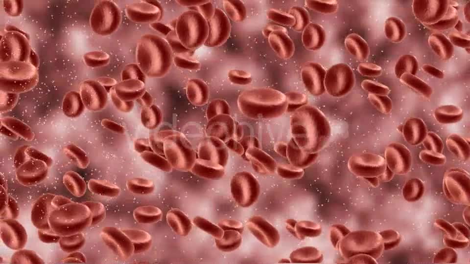 Red Blood Cells In Artery Videohive 9823045 Motion Graphics Image 1