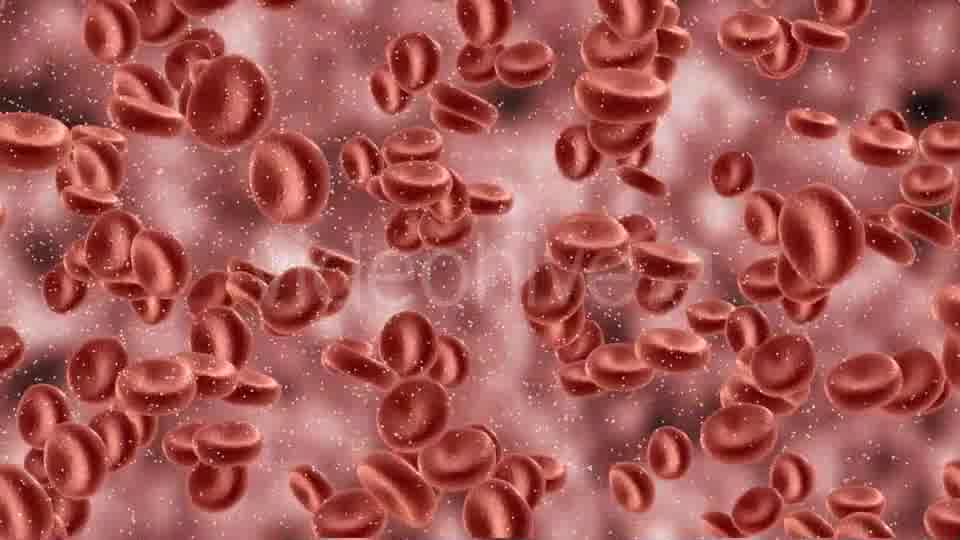 Red Blood Cells In Artery Videohive 9823045 Motion Graphics Image 10