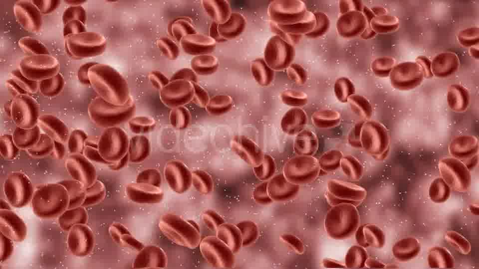 Red Blood Cells In Artery Videohive 9823045 Motion Graphics Image 11
