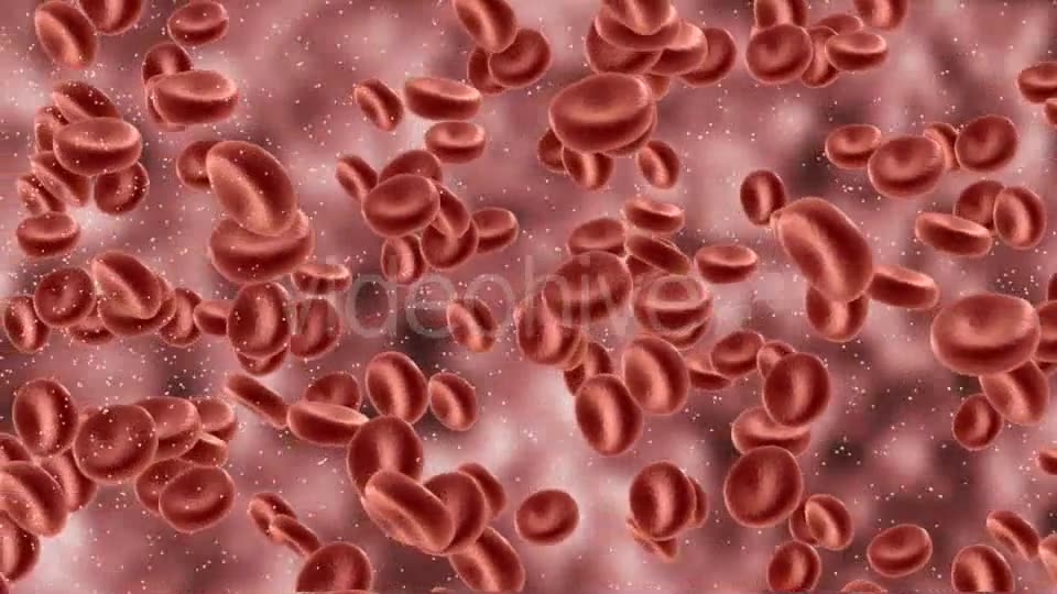 Red Blood Cells In Artery Videohive 9823045 Motion Graphics Image 2