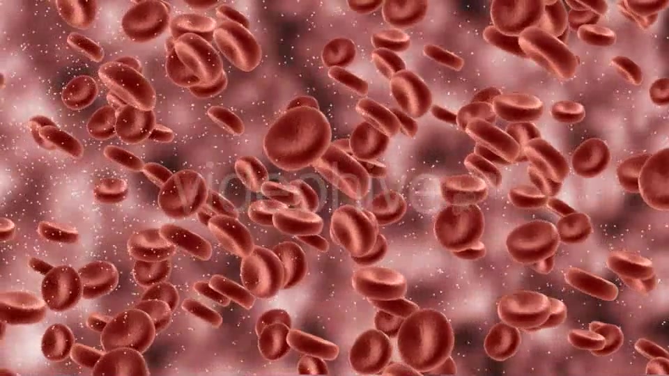 Red Blood Cells In Artery Videohive 9823045 Motion Graphics Image 3