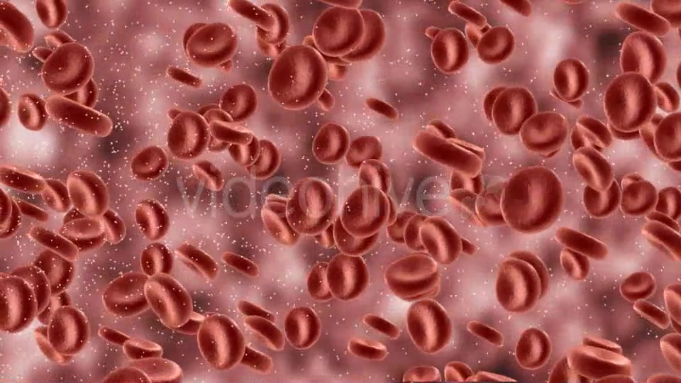 Red Blood Cells In Artery Videohive 9823045 Motion Graphics Image 4