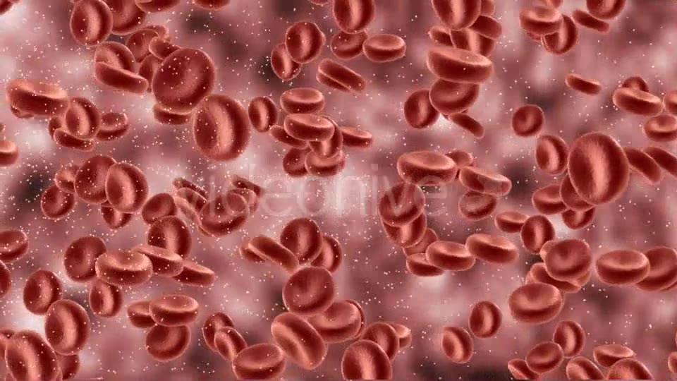 Red Blood Cells In Artery Videohive 9823045 Motion Graphics Image 5