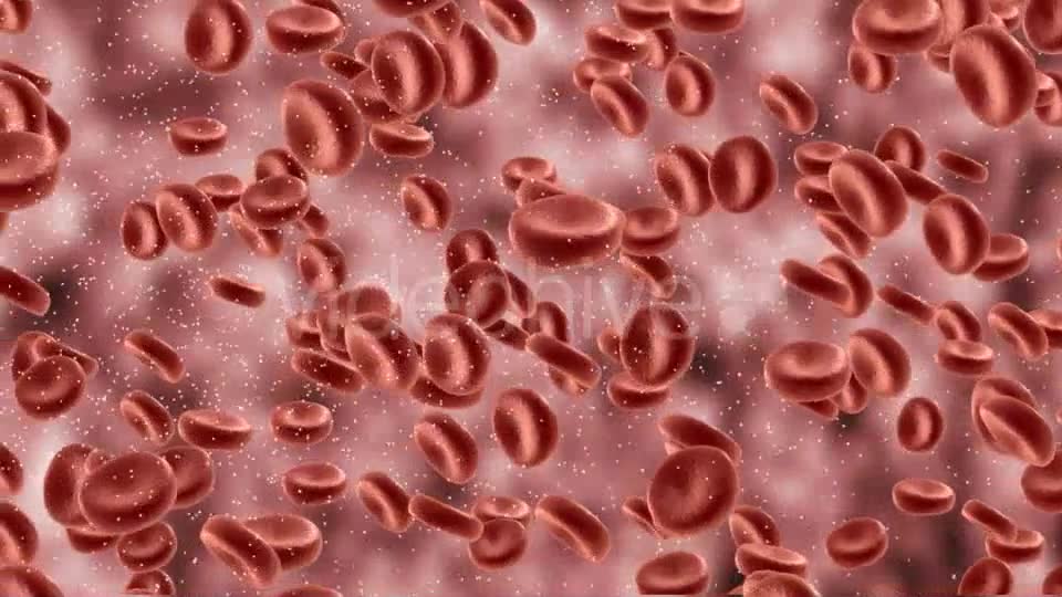 Red Blood Cells In Artery Videohive 9823045 Motion Graphics Image 6