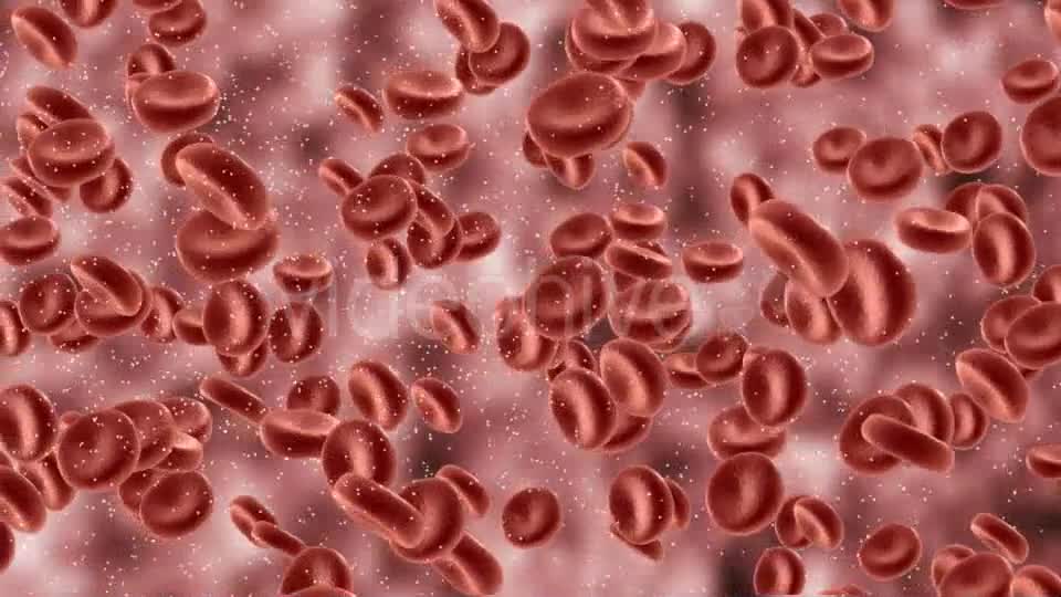 Red Blood Cells In Artery Videohive 9823045 Motion Graphics Image 7
