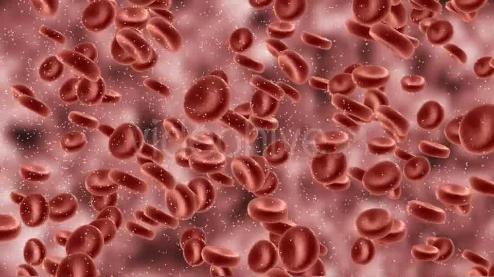 Red Blood Cells In Artery Videohive 9823045 Motion Graphics Image 8
