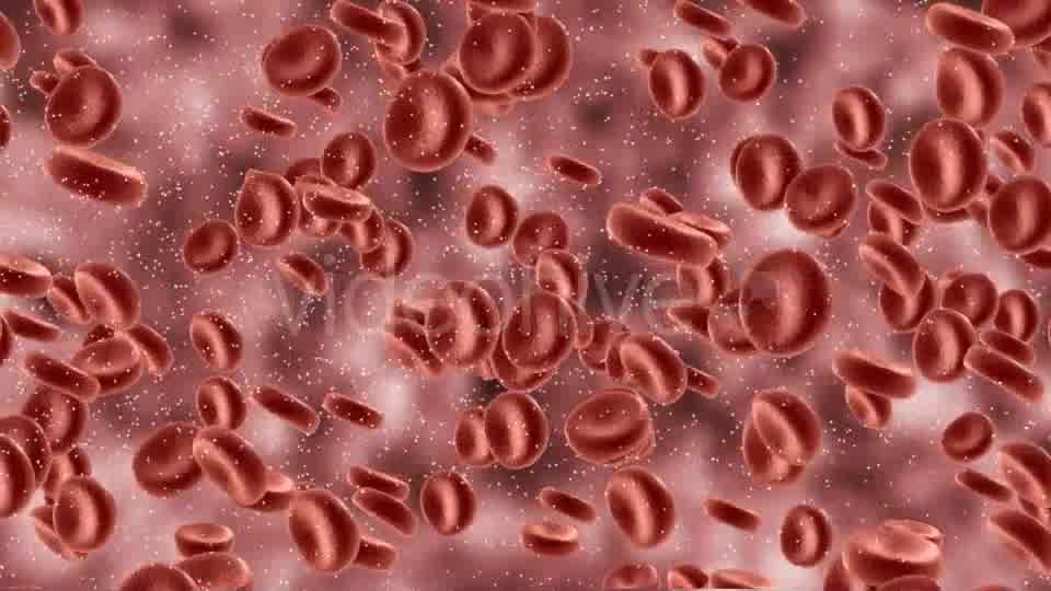 Red Blood Cells In Artery Videohive 9823045 Motion Graphics Image 9