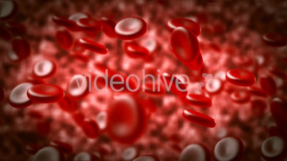 Red Blood Cells Moving In The Blood Stream Videohive 15321774 Motion Graphics Image 1