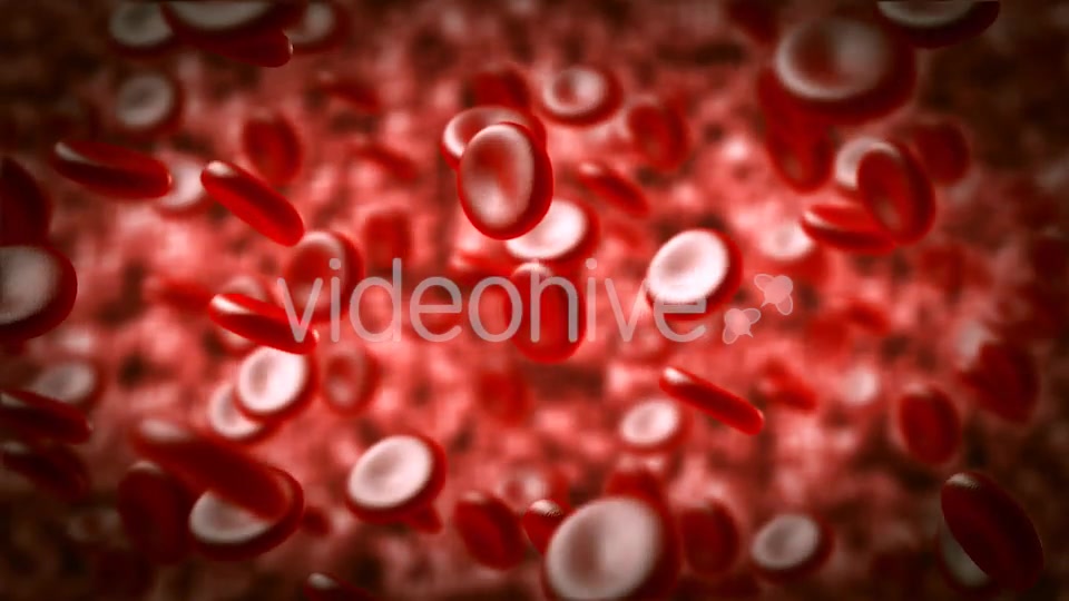 Red Blood Cells Moving In The Blood Stream Videohive 15321774 Motion Graphics Image 3