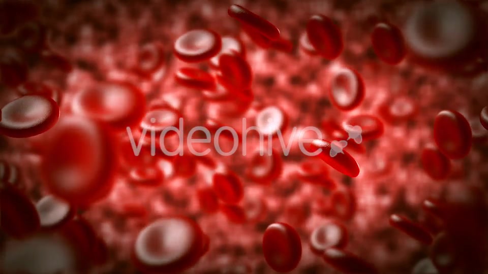 Red Blood Cells Moving In The Blood Stream Videohive 15321774 Motion Graphics Image 5