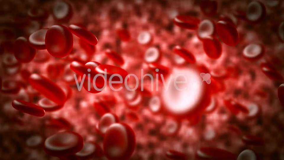 Red Blood Cells Moving In The Blood Stream Videohive 15321774 Motion Graphics Image 6