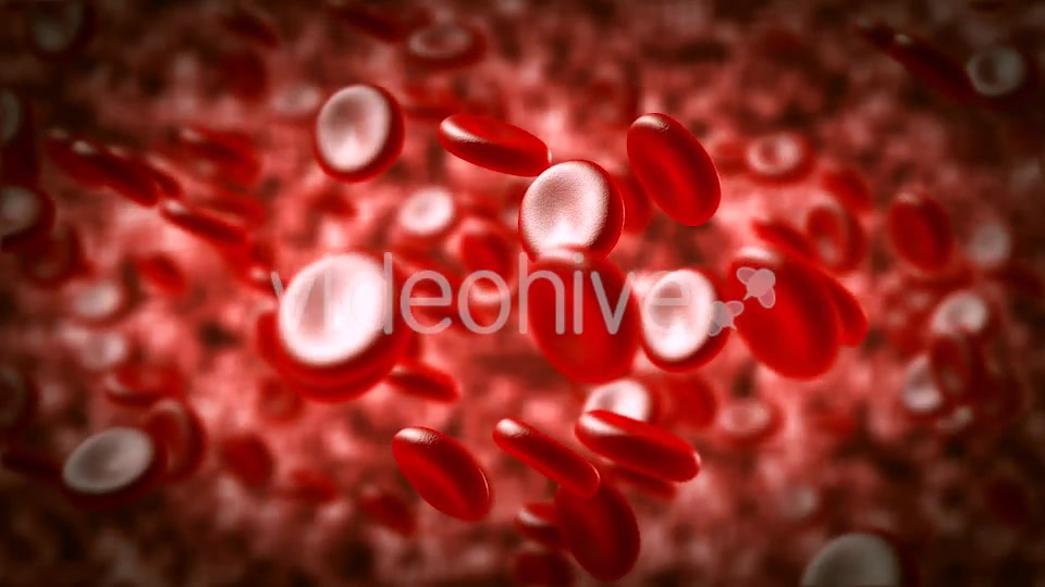 Red Blood Cells Moving In The Blood Stream Videohive 15321774 Motion Graphics Image 7