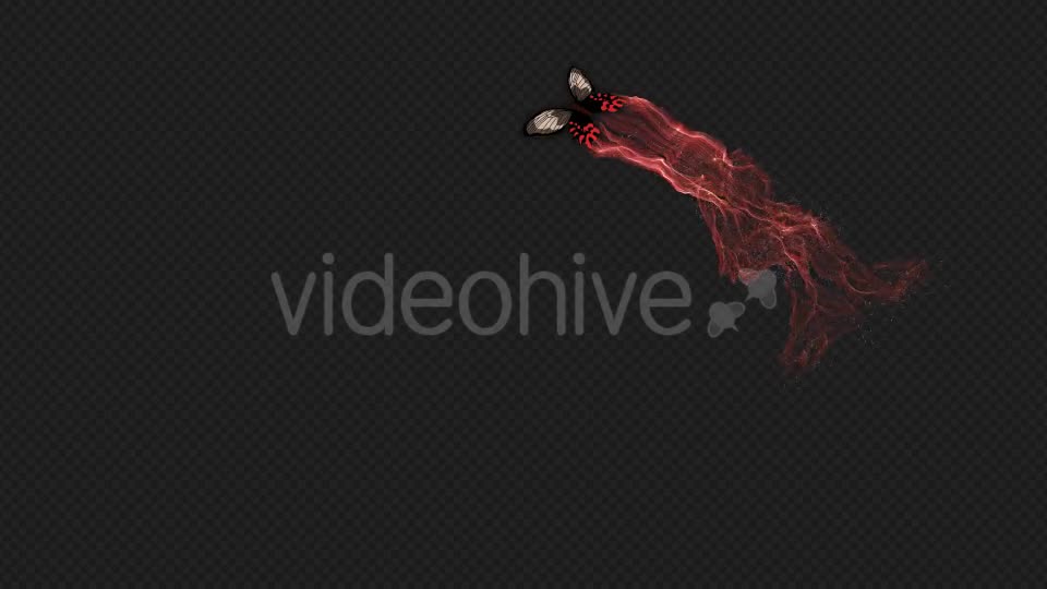 Red Brown Butterfly Gorgeous Particle Light Trailing Flying V3 HD Videohive 19522360 Motion Graphics Image 1