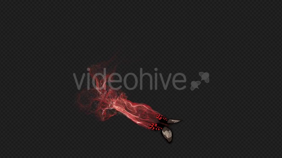 Red Brown Butterfly Gorgeous Particle Light Trailing Flying V3 HD Videohive 19522360 Motion Graphics Image 10