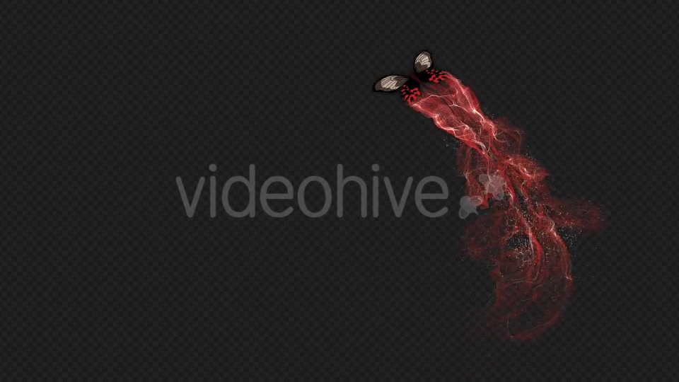 Red Brown Butterfly Gorgeous Particle Light Trailing Flying V3 HD Videohive 19522360 Motion Graphics Image 11