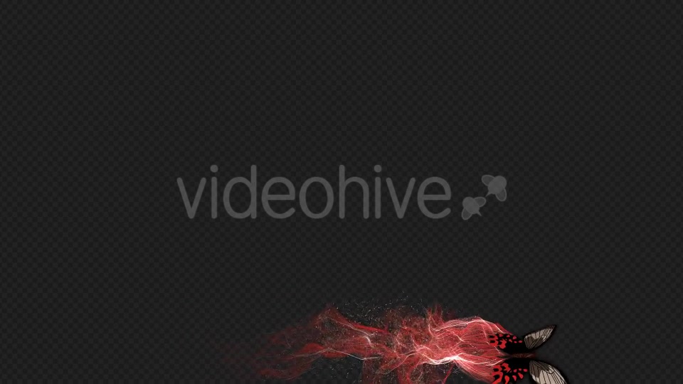 Red Brown Butterfly Gorgeous Particle Light Trailing Flying V3 HD Videohive 19522360 Motion Graphics Image 4