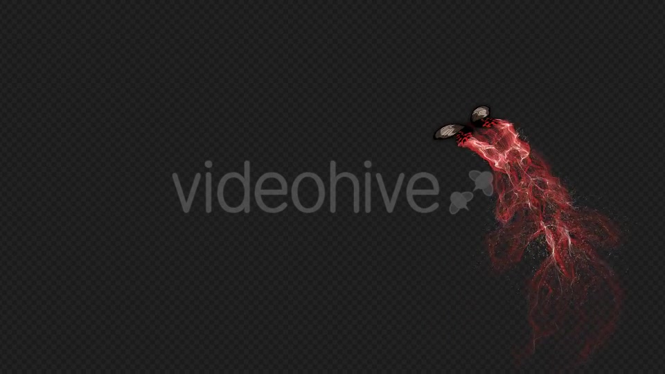 Red Brown Butterfly Gorgeous Particle Light Trailing Flying V3 HD Videohive 19522360 Motion Graphics Image 5