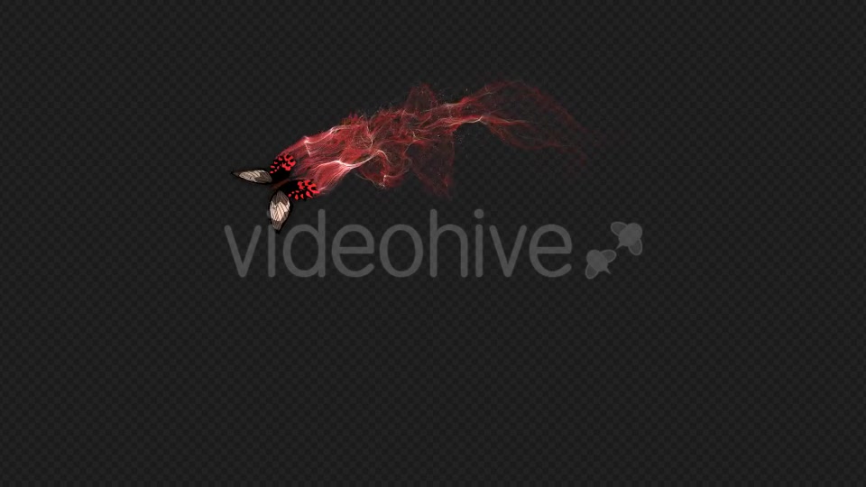 Red Brown Butterfly Gorgeous Particle Light Trailing Flying V3 HD Videohive 19522360 Motion Graphics Image 6