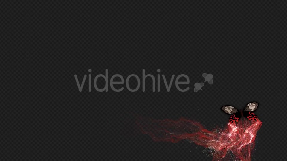 Red Brown Butterfly Gorgeous Particle Light Trailing Flying V3 HD Videohive 19522360 Motion Graphics Image 8