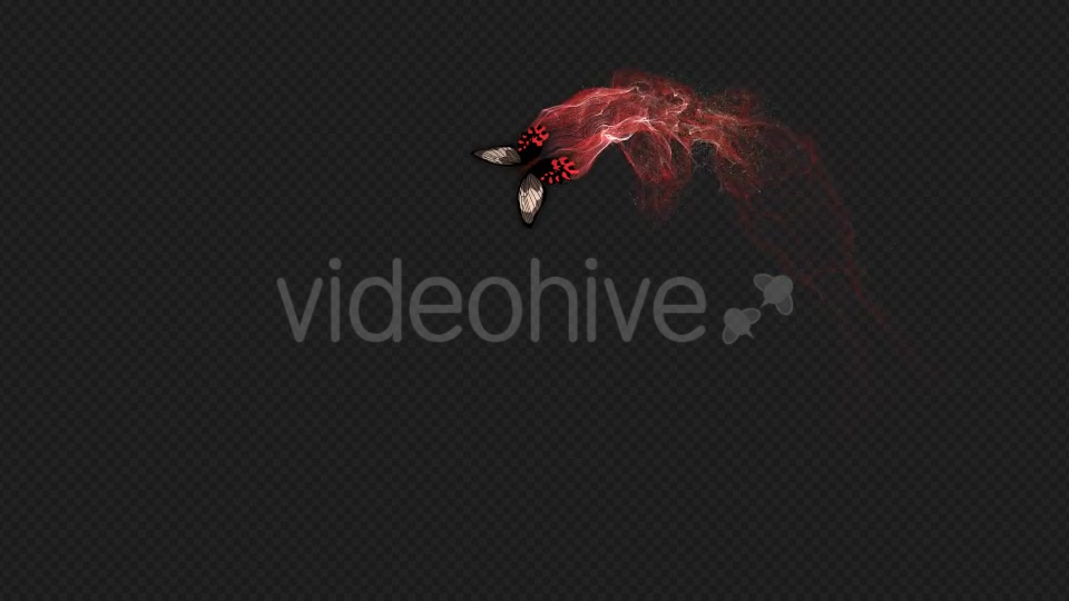 Red Brown Butterfly Gorgeous Particle Light Trailing Flying V3 HD Videohive 19522360 Motion Graphics Image 9