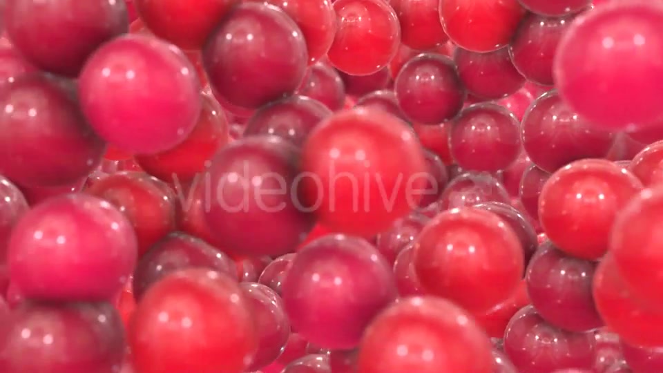 Red Bubbles Transition Videohive 19294582 Motion Graphics Image 3