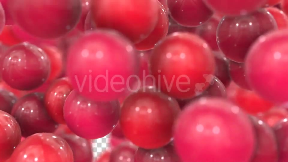 Red Bubbles Transition Videohive 19294582 Motion Graphics Image 6