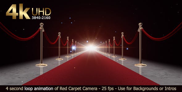 Red Carpet Loop - Download 17664986 Videohive