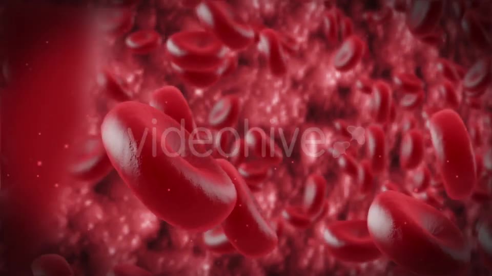Red Cells Videohive 11130922 Motion Graphics Image 10