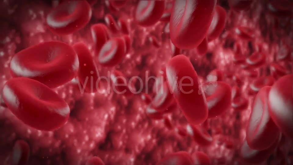 Red Cells Videohive 11130922 Motion Graphics Image 11