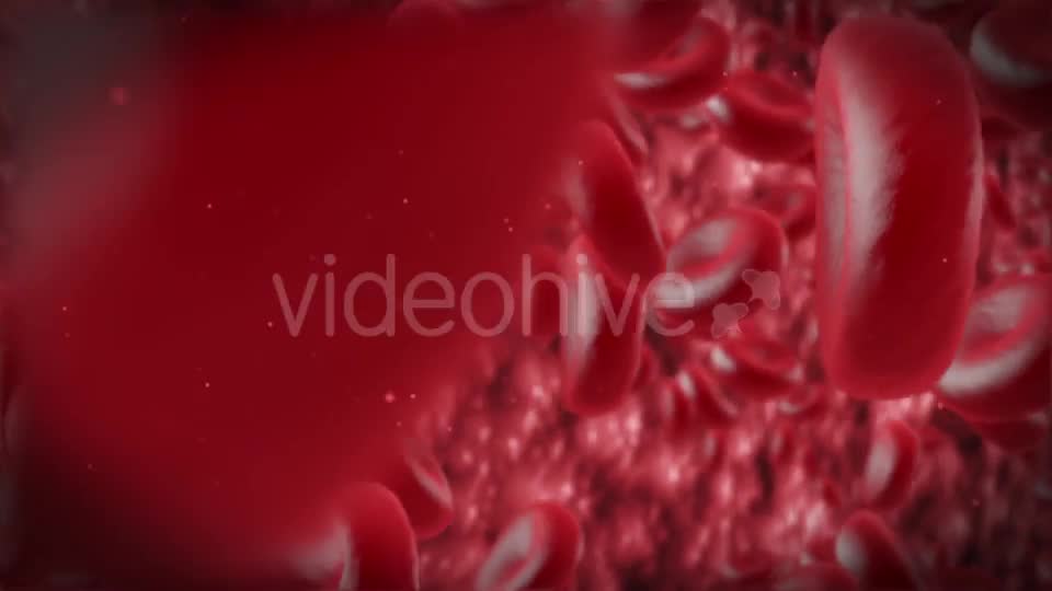 Red Cells Videohive 11130922 Motion Graphics Image 12