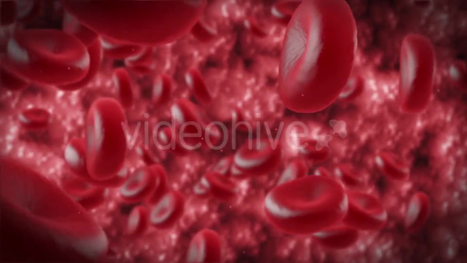 Red Cells Videohive 11130922 Motion Graphics Image 2