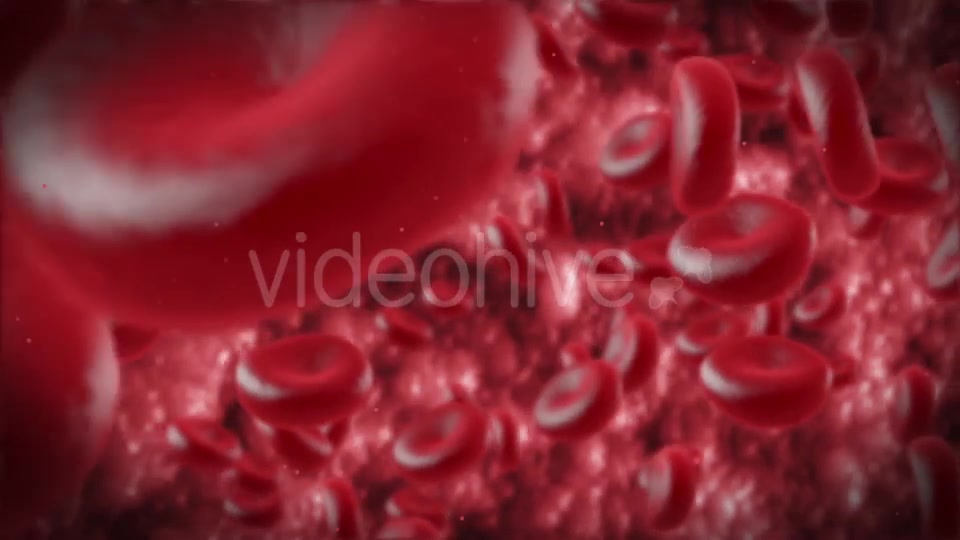 Red Cells Videohive 11130922 Motion Graphics Image 4