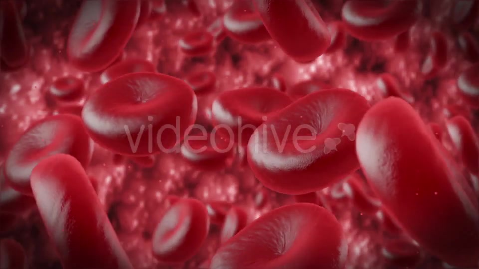 Red Cells Videohive 11130922 Motion Graphics Image 5