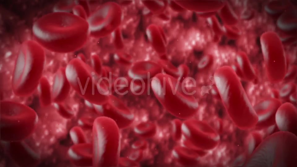 Red Cells Videohive 11130922 Motion Graphics Image 6