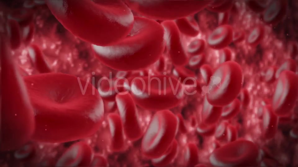 Red Cells Videohive 11130922 Motion Graphics Image 7