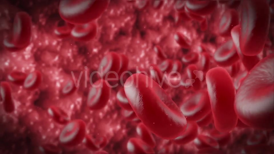 Red Cells Videohive 11130922 Motion Graphics Image 8