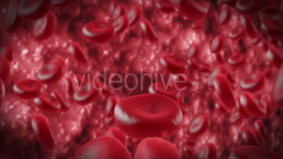 Red Cells Videohive 11130922 Motion Graphics Image 9