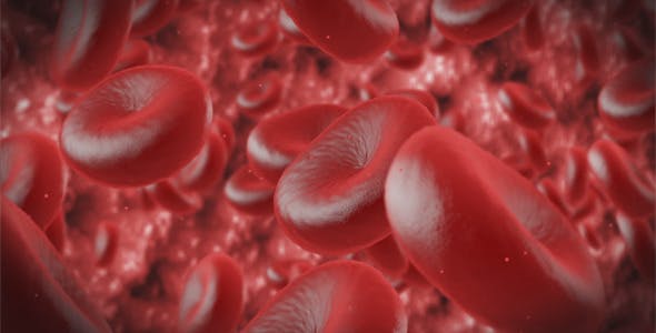 Red Cells - 11130922 Download Videohive