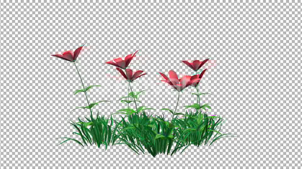 Red Flowers and Grass Videohive 22429643 Motion Graphics Image 10