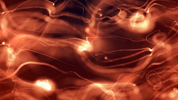 Red Particles Flowing - Download Videohive 21025928