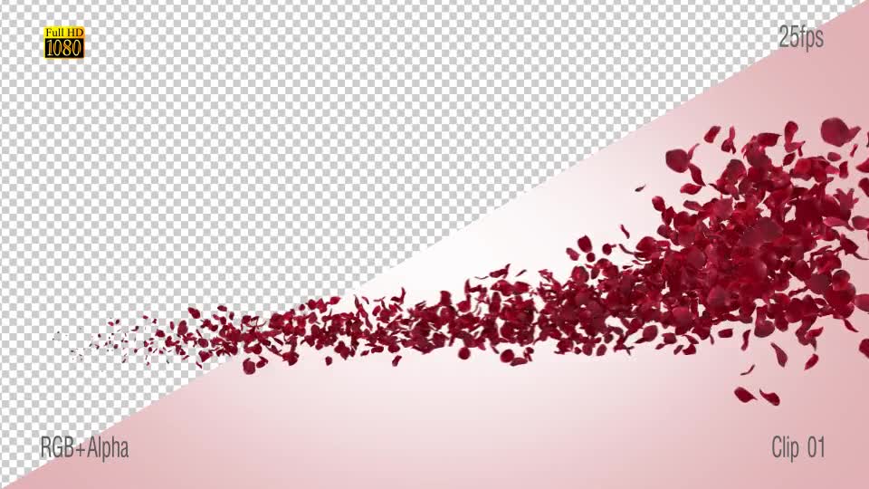 Red Rose Videohive 15687383 Motion Graphics Image 2