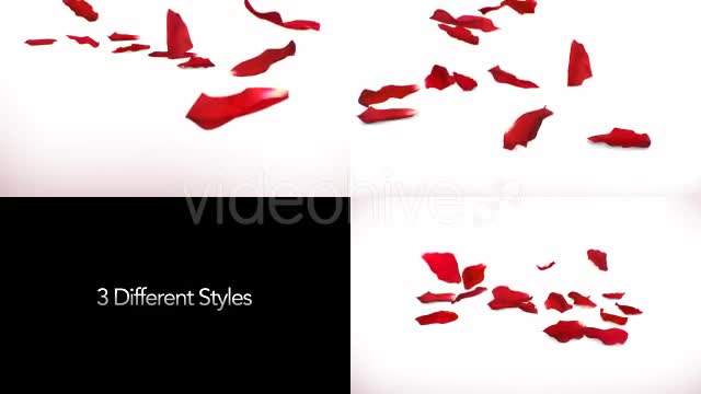 Red Rose Petals Videohive 14375755 Motion Graphics Image 1