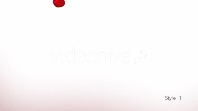 Red Rose Petals Videohive 14375755 Motion Graphics Image 2