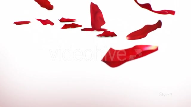 Red Rose Petals Videohive 14375755 Motion Graphics Image 3